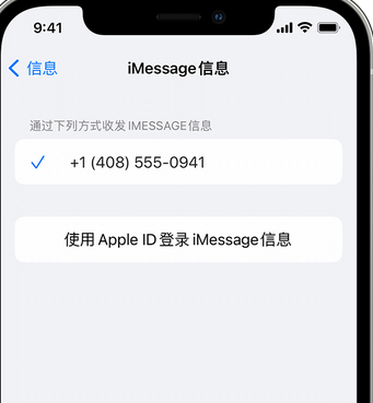 松原apple维修iPhone上无法正常发送iMessage信息 