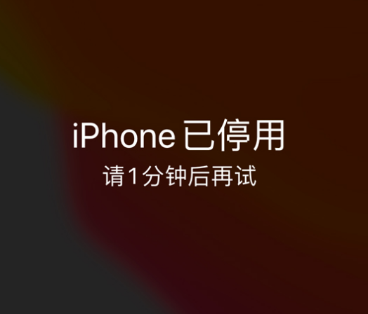 松原苹果手机维修分享:iPhone 显示“不可用”或“已停用”怎么办？还能保留数据吗？ 