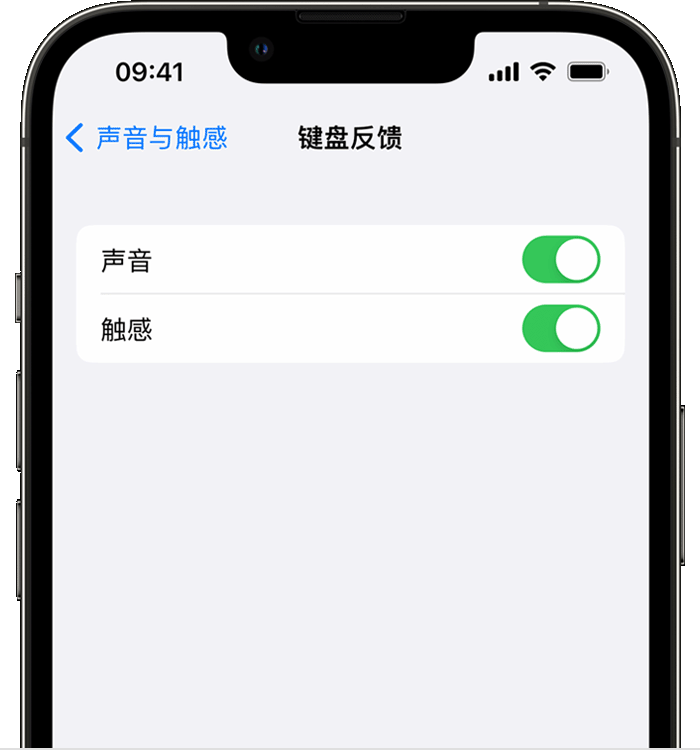 松原苹果14维修店分享如何在 iPhone 14 机型中使用触感键盘 