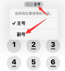 松原苹果14维修店分享iPhone 14 Pro Max使用副卡打电话的方法 