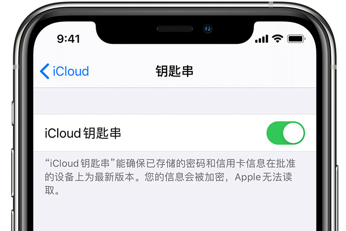 松原苹果手机维修分享在 iPhone 上开启 iCloud 钥匙串之后会储存哪些信息 